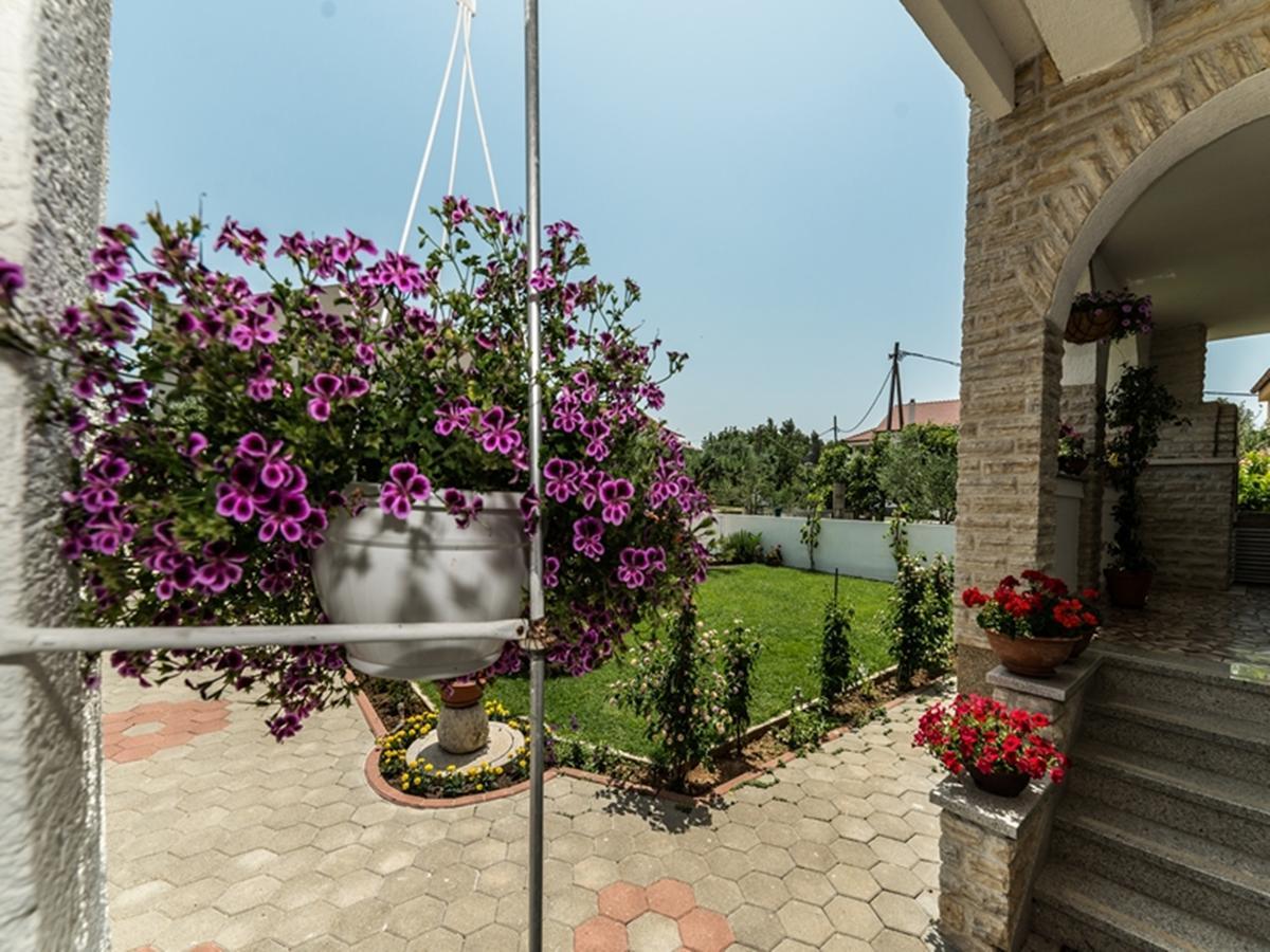 Apartments Dalmatia (Adults Only) Privlaka  Exterior photo